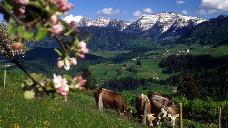 Fewo Alpenbrise, Оберштауфен Екстер'єр фото